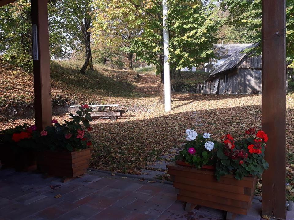 יוסיפדול Holiday Home Trzan מראה חיצוני תמונה
